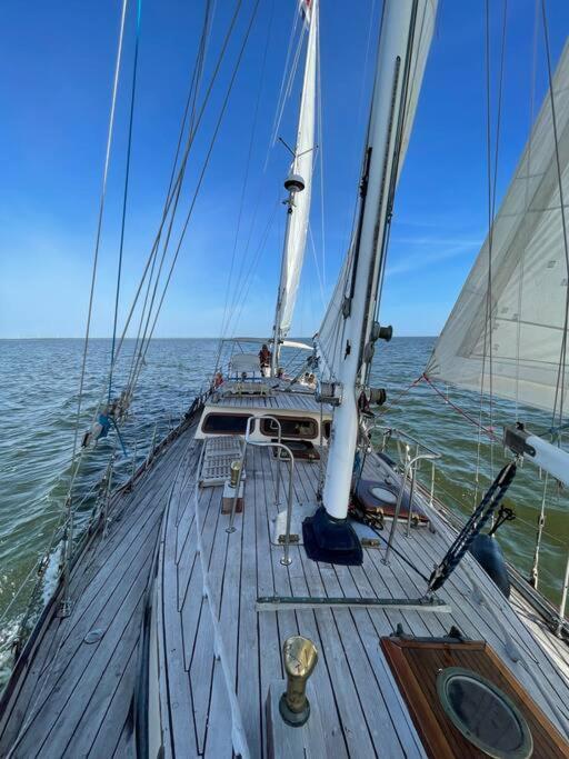 Classic Sailing Ship In Center Of Enkhuizen! Ngoại thất bức ảnh